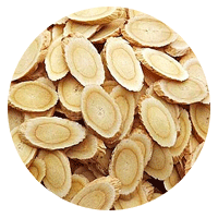 Astragalus Root