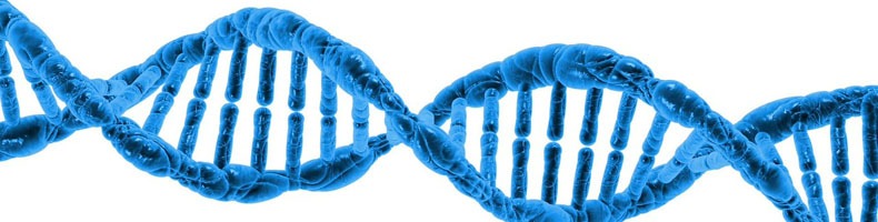 Human Growth Hormone