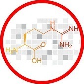 L-Arginine